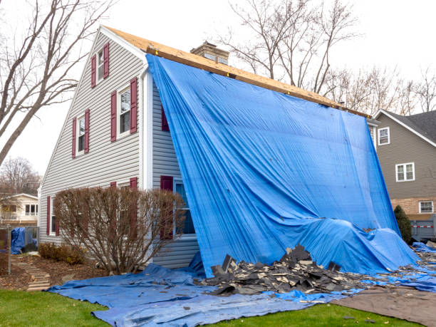 Best Yard Waste Removal  in Wyncote, PA